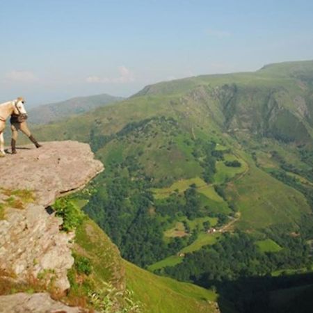 Gite Individuel Au Pays Basque A 1,5Km De St-Jean-Pied-De-Port แซงต์-ฌอง-ปี-เดอ-ปอร์ ภายนอก รูปภาพ