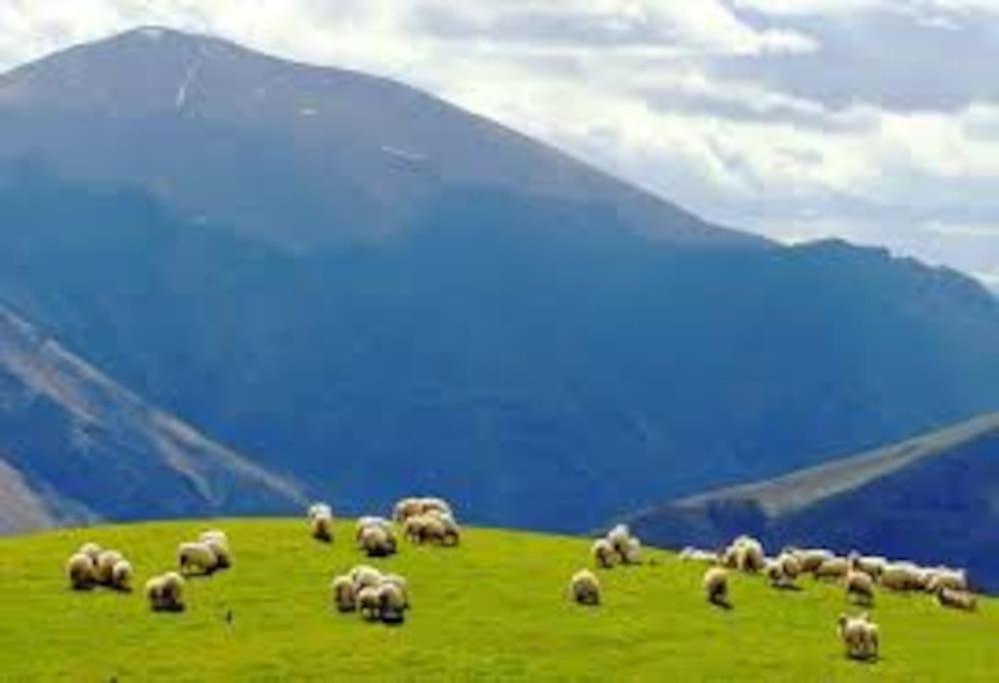 Gite Individuel Au Pays Basque A 1,5Km De St-Jean-Pied-De-Port แซงต์-ฌอง-ปี-เดอ-ปอร์ ภายนอก รูปภาพ